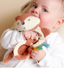 Fox Crinkle Toy and Pop Spinner Gift Set