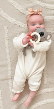 Koala Crinkle Toy and Pop Spinner Gift Set